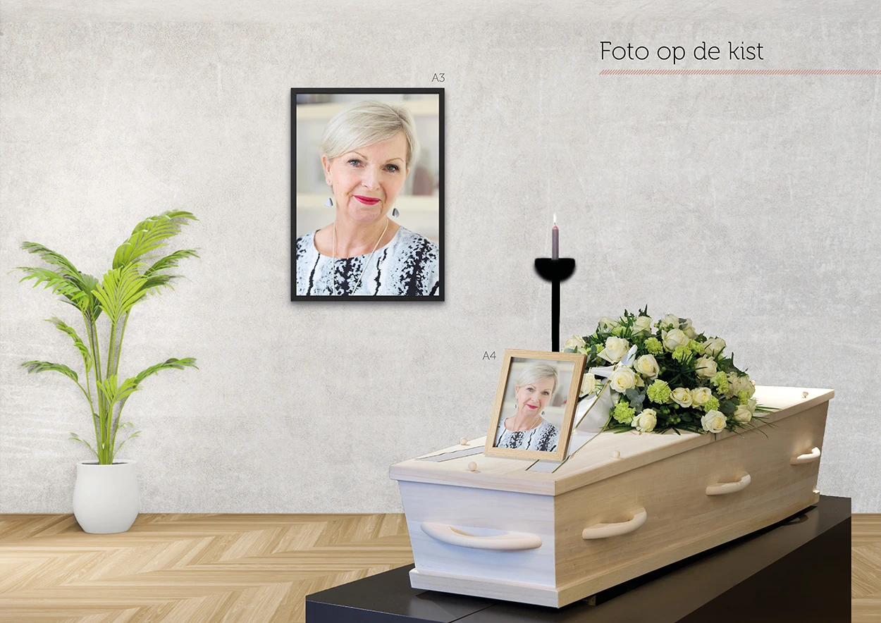 1foto-op-de-kist.webp